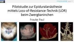 Vortragspreis für Dr. Frauke Paul